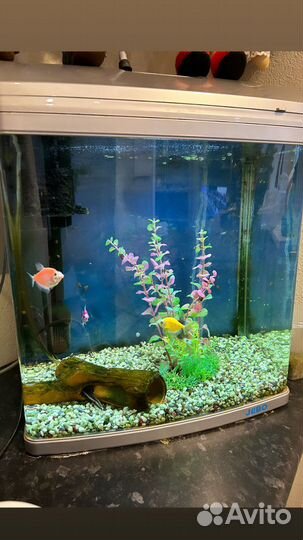 Морской аквариум 450 л