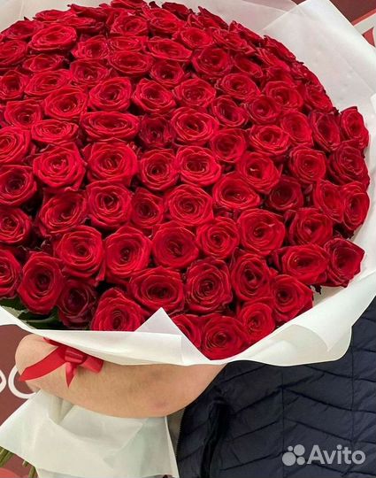 Розы гиганты 140 150 160 170 180 200