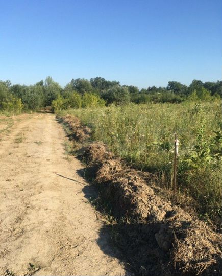 Участок 6 сот. (ИЖС)