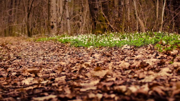 Участок 1,14 га (ИЖС)