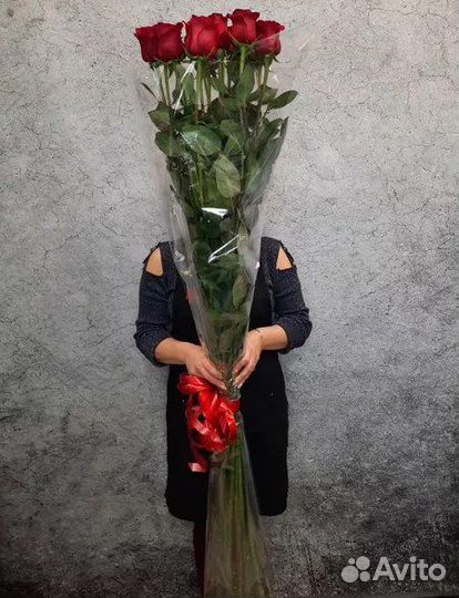 Королевская роза 150 см