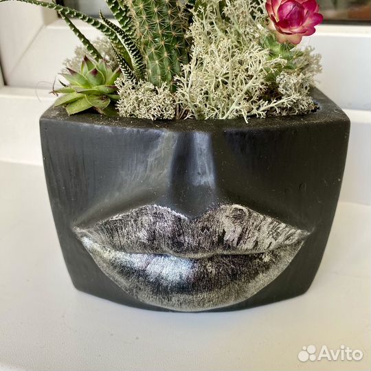Кашпо с кактусами
