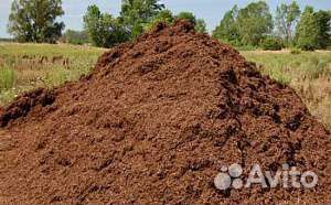 Доставка конского навоза и коровяк перегной