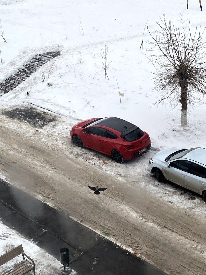 Opel Astra GTC: фото владельца