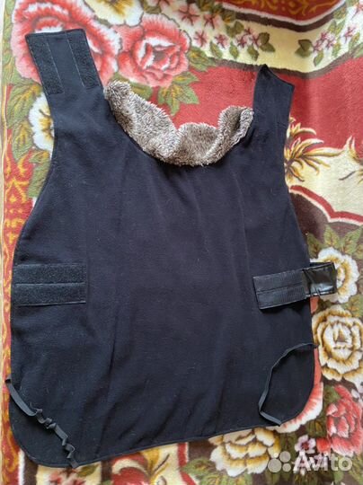 Одежда для большой собаки