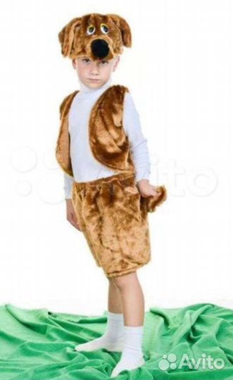 Костюм собаки, зайца