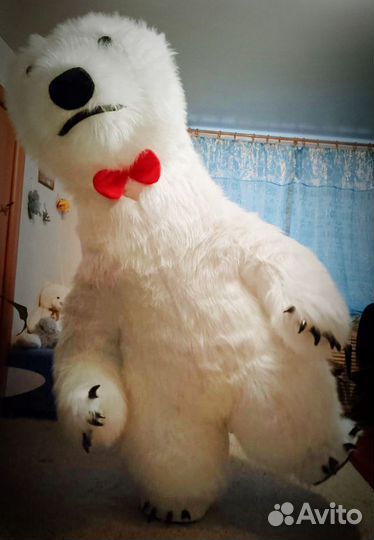 Заказать поздравление Белого медведя