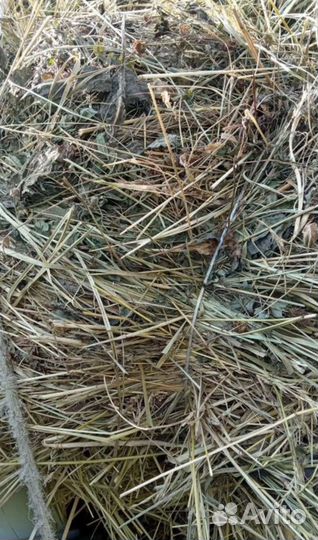 Сено в тюках