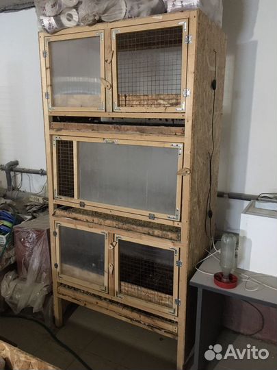 Брудера для птицы