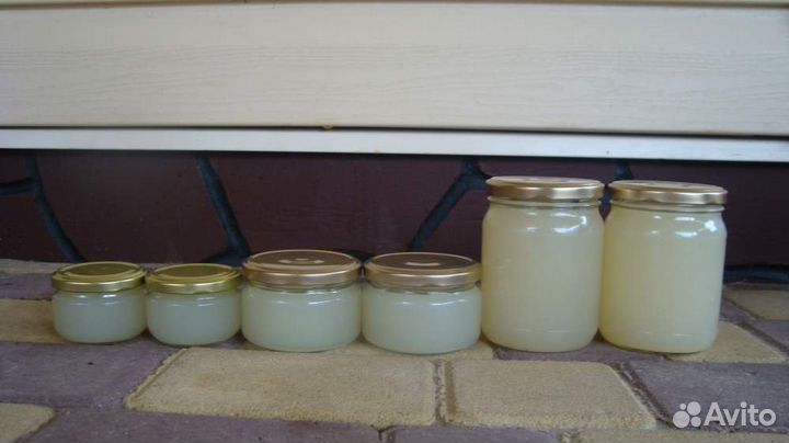 Барсучий жир