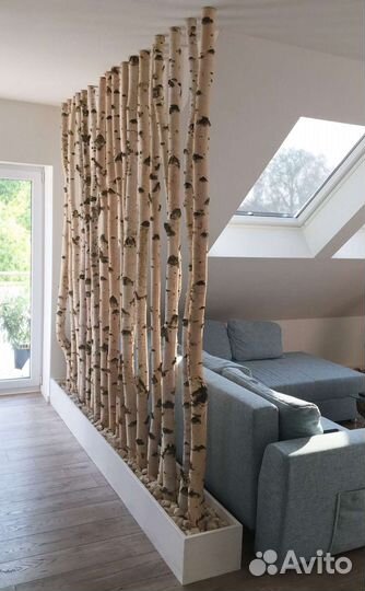 Ствол дерева из берёзы, осины, рябины, хвойных