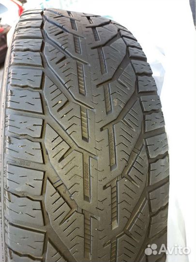 Tigar Winter 205/65 R16 95H