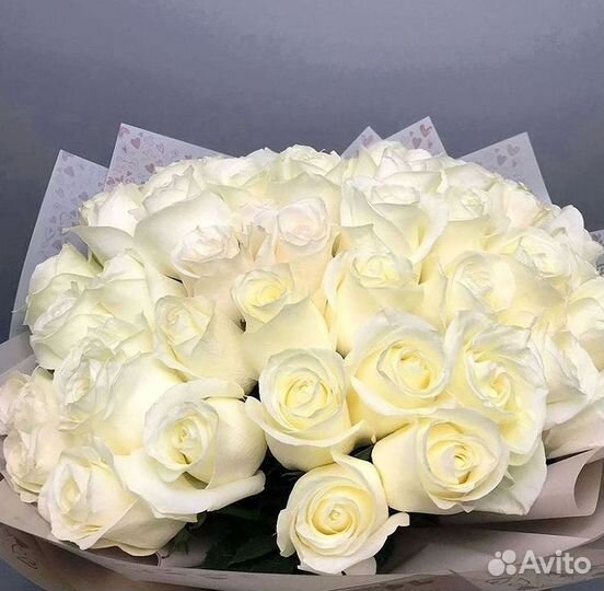 Розы Букеты Цветы Розы 31 101 151 201 Доставка