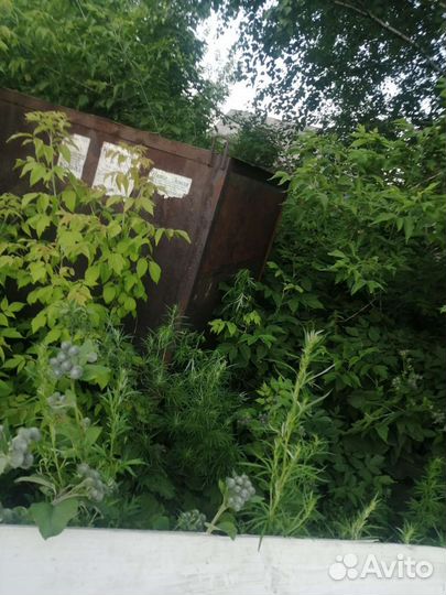 Голубятня продажа