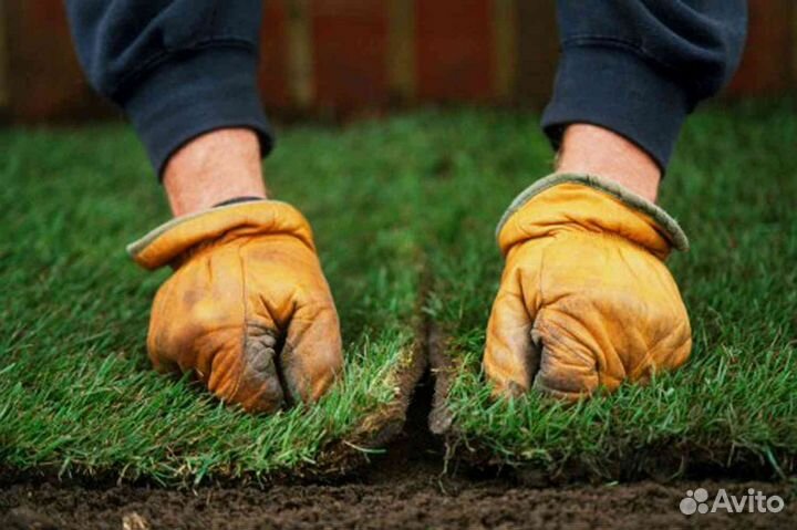 Газон рулонный спортивный. Укладка. Автополив