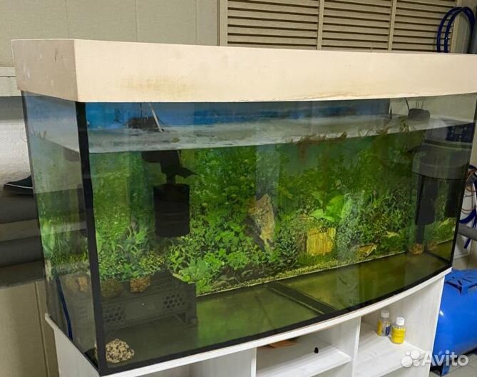 Аквариум 200л
