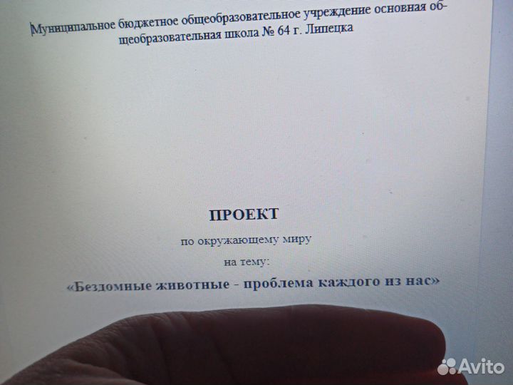 Проект школьный