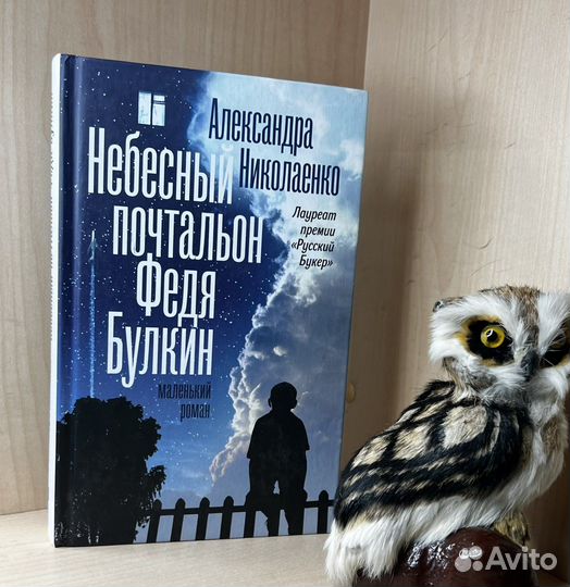 Николаенко Александра. Небесный почтальон Федя Бул
