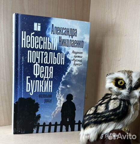 Николаенко Александра. Небесный почтальон Федя Бул