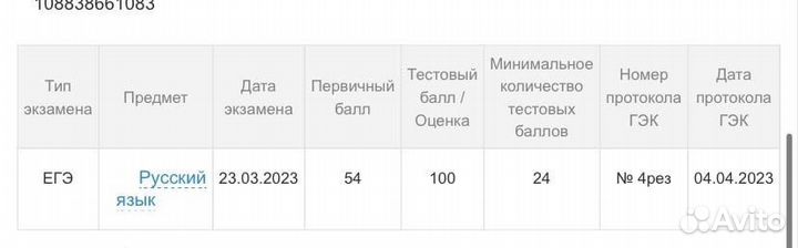 Репетитор экзамены русский язык литература егэ огэ