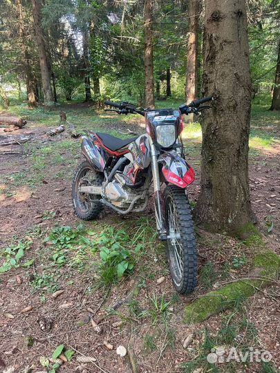 Wels pr250