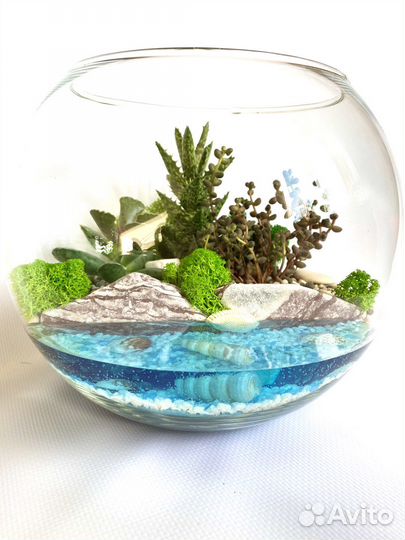 Флорариум с имитацией водоема