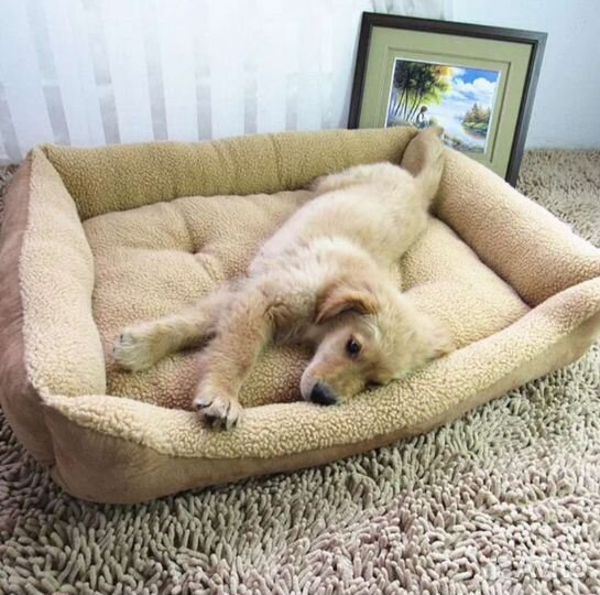 Лежанка для собак