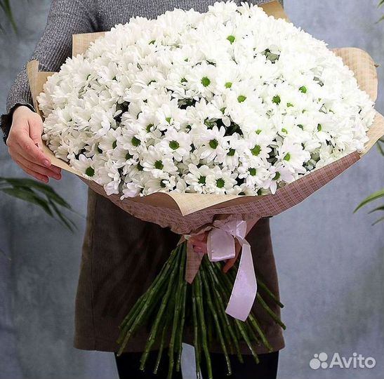 Хризантема Букеты доставка цветов