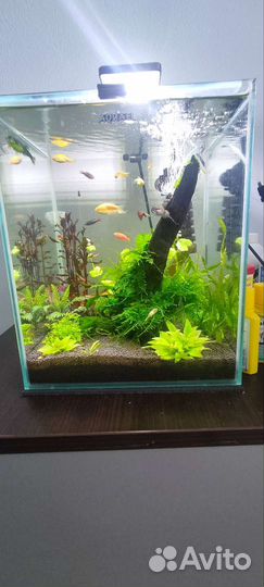 Аквариум aquael shrimp set 30