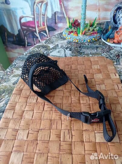 Намордник для маленькой собаки