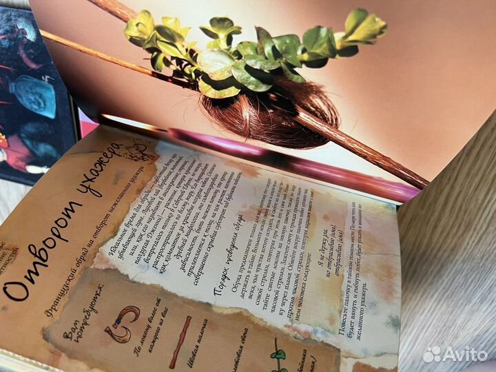 Книги клара дора две бешеные бабки