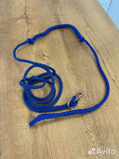 Потяг для ездового спорта Невский ангел