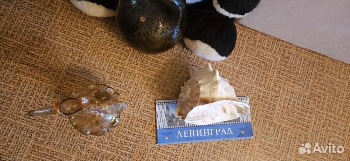 Кувшин стекло и раковина морская большая