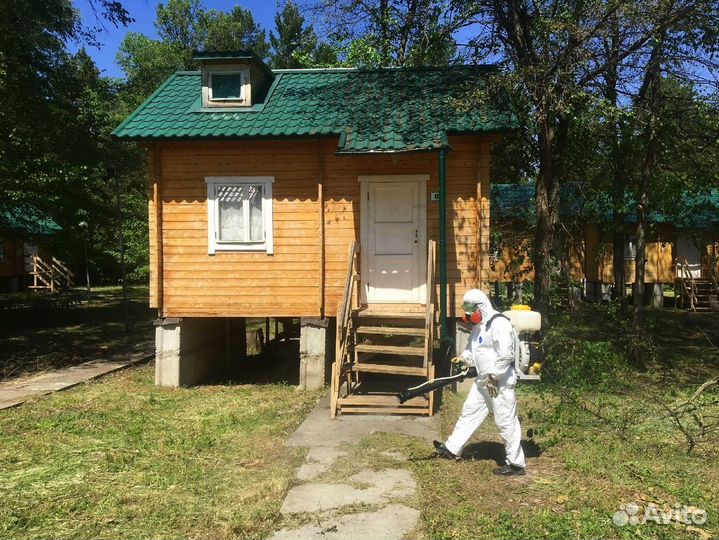 Дезинфекция, травить тараканов, уничтожение клопов