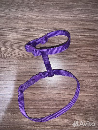 Шлейка для маленькой собаки