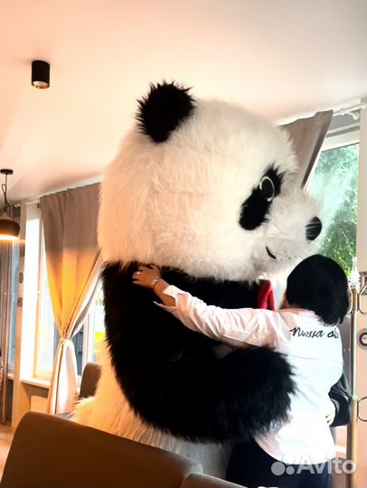Аниматор.Большая Панда
