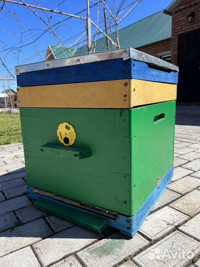 Улей на 10 рамок