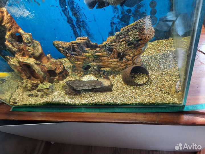 Аквариум