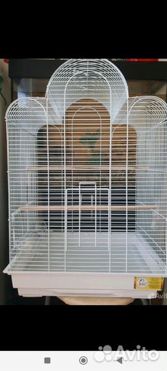 Новые клетки для попугаев