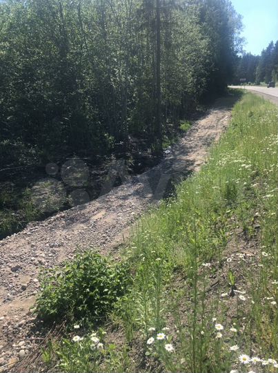 Участок 22 сот. (ИЖС)