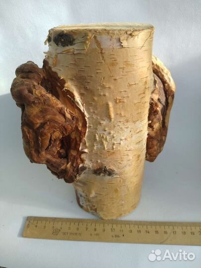 Кап березовый