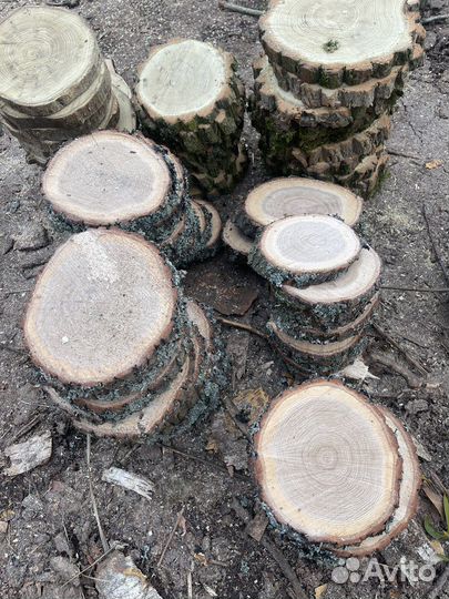 Слэб,спил дерева набор слэбов для поделок
