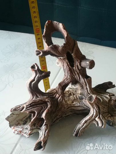 Грот большой, коряга