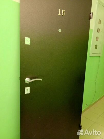 Дверь входная железная бу в новостройке установлен