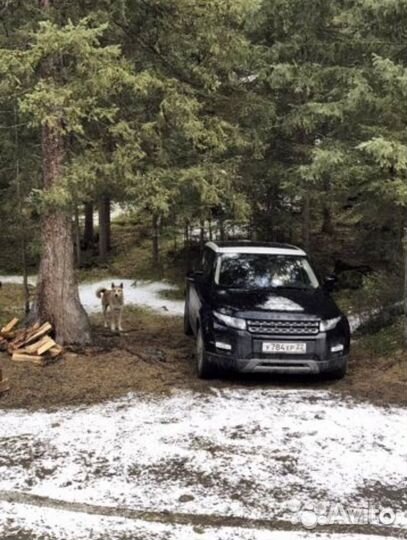 Аренда без водителя Range Rover темный с панорамой