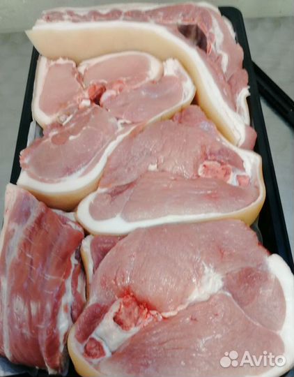 Мясо свинина от производителя