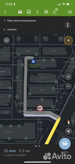 Лосось (семга)