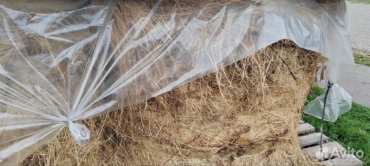 Сено люцерны в тюках