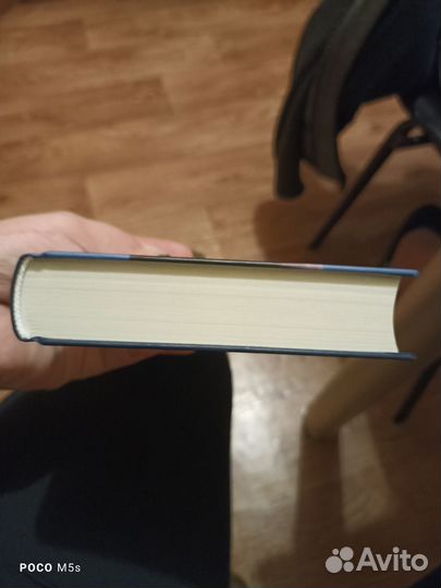 Кристина Старк крылья