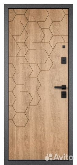 Входная дверь